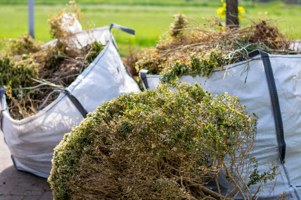 Attic Cleanout Services in Allendale, SC